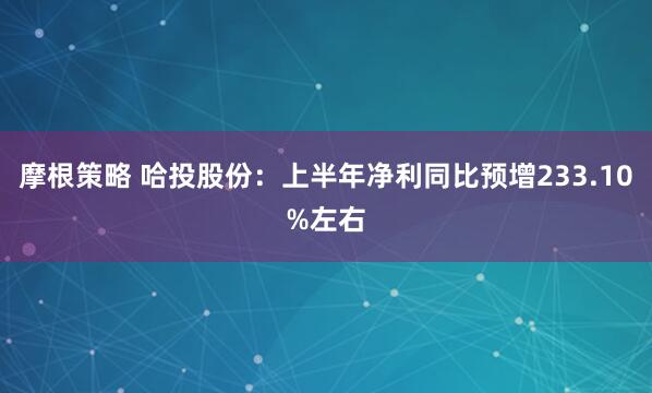 摩根策略 哈投股份：上半年净利同比预增233.10%左右