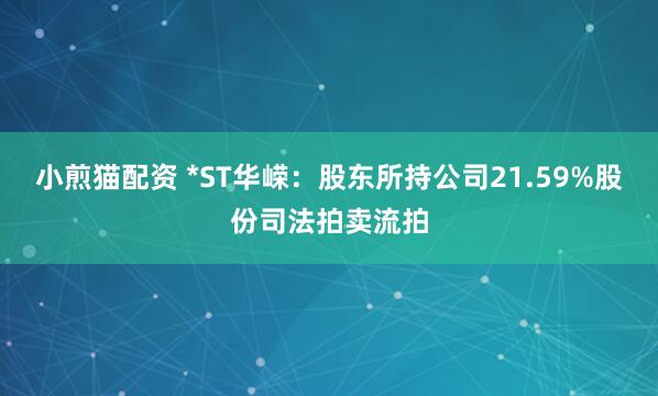 小煎猫配资 *ST华嵘：股东所持公司21.59%股份司法拍卖流拍
