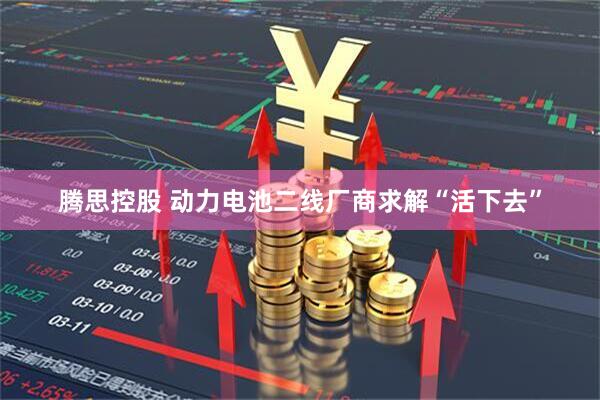 腾思控股 动力电池二线厂商求解“活下去”