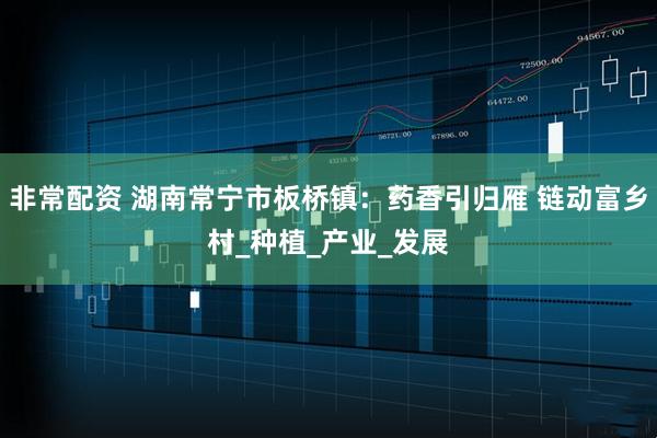 非常配资 湖南常宁市板桥镇：药香引归雁 链动富乡村_种植_产业_发展